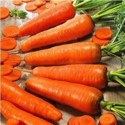 Морковь Флакке (Флакер)