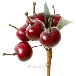 Декоративная ветка Молодильные Яблочки 35 см, красные (Hogewoning)
