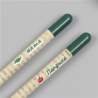 Растущие подарочные карандаши mini "Мята и Паприка" набор 2 шт