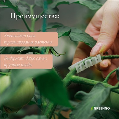 Кистедержатель «Улитка», 4 см, набор 50 шт., Greengo