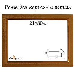 Рама для картин (зеркал) 21 х 30 х 2,8 см, пластиковая, Calligrata 6528, золотая