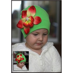 Зеленая шапочка с орхидеей Каттлея …