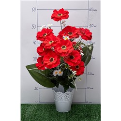 Букет цветов "Космея с ромашками" 60 см (SF-5100) красный