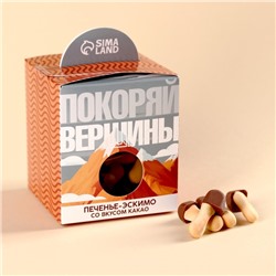 УЦЕНКА Печенье с глазурью, вкус: какао «Покоряй вершины», 100 г