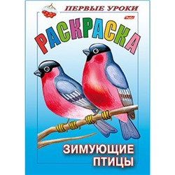 Раскраска А5 8л Посмотри и раскрась-Первые уроки "Зимующие птицы" (025621) 10355 Хатбер