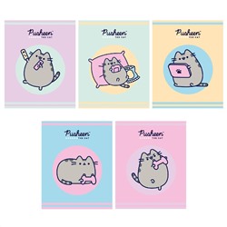 Тетрадь 48 л "Pusheen" клетка лак PS18/5 АкХолд