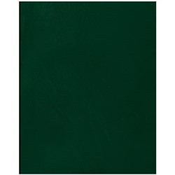 Тетр. 96л кл. б/винил Спейс-16415 зеленый уп50 арт.0213-047-2