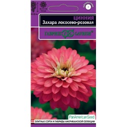 Цинния Захара лососево-розовая, 5 шт семян