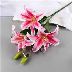 Цветы искусственные "Лилия галант" d-13 см 66 см, розовый