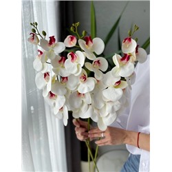 Орхидея искуственная белая 100 см