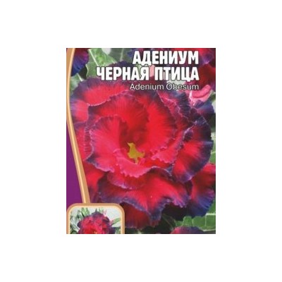 Адениум Черная Птица 3шт (Редкие овощи)