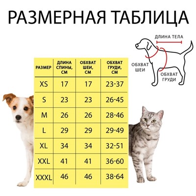 Свитер "Полоски", L (ДС 29, ОШ 29, ОГ 29-49 см)