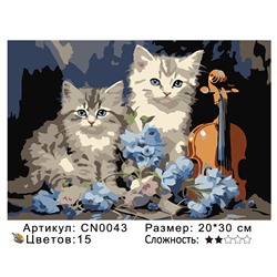 CN0043 Картины по номерам 20*30 цвет.холст