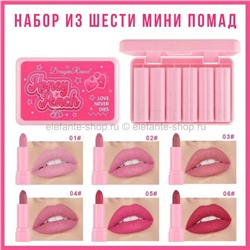 Набор мини помад Dragon Ranee Honey Peach 6in1