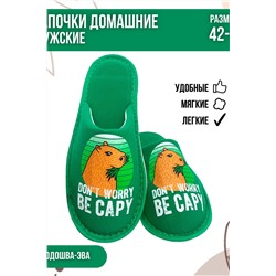 Тапки мужские С-6ММ(пч)-МР Капибара/зеленый