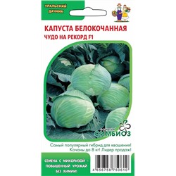 Семена Капуста белокочанная Чудо на рекорд F1 (Симбиоз) Е/П