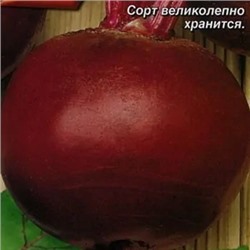 Свекла столовая Богема, 3 г