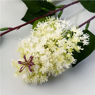 Цветы искусственные "Веточка сирени" 68х7 см, белый