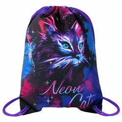 271621 МЕШОК NEON CAT