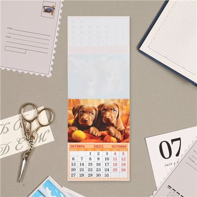 Календарь отрывной на магните "Милый друг" 2025 год, 9,5 х 13 см