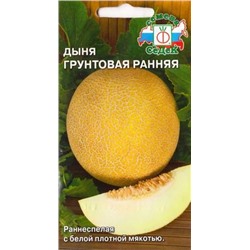 Дыня Грунтовая ранняя (Код: 14823)