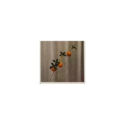 Растение искусственное Мандарин 3 ягоды / GTN-3 /уп 10/800/
