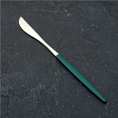 Нож столовый из нержавеющей стали Magistro «Блинк», длина 22 см, на подвесе, цвет серебряный, зелёная ручка