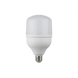 Лампа светодиодная "ЭРА" LED smd POWER 20w-6500-E27 (нейтральный свет)