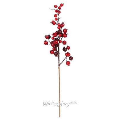 Декоративная ветка с ягодами Arundelio 54 см (Edelman)