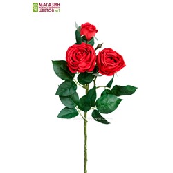 Роза пионовидная 3 бутона - красный