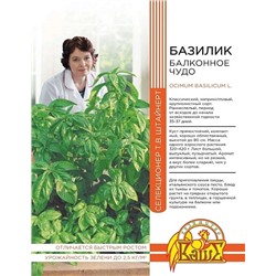 Базилик овощной Балконное чудо 0,25 гр цв.п (Штайнерт)