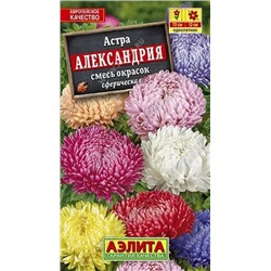 Семена Астра Александрия, смесь окрасок Ц/П