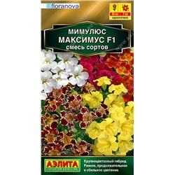 Мимулюс Максимус F1, смесь, 10 шт семян