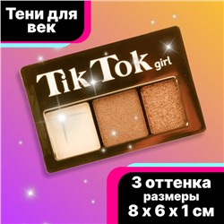 Тени для век 3 цвета №1 TIK TOK GIRL