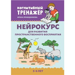 Нейрокурс для развития пространственного восприятия. 5-6 лет. 2-е издание. Праведникова И.И.