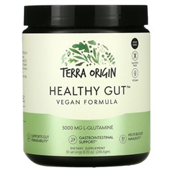 Terra Origin, Healthy Gut, веганская формула, 246,6 г (8,7 унции)