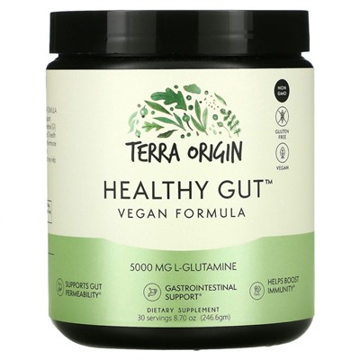 Terra Origin, Healthy Gut, веганская формула, 246,6 г (8,7 унции)