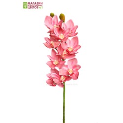 Орхидея Цимбидиум 3D - светло-розовый