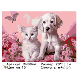 CN0044 Картины по номерам 20*30 цвет.холст