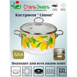 Кастрюля 5,5л цил. Limon 1SD225S белосн.