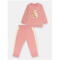 CWNG 90145-27-345 Комплект для девочки (джемпер, брюки),розовый