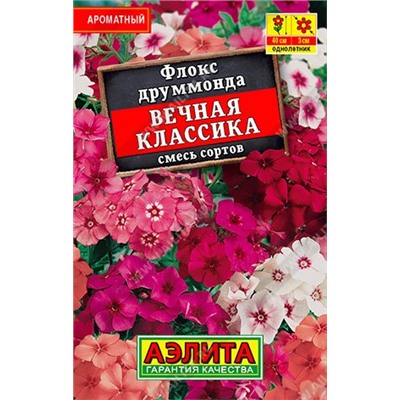 Флокс Вечная классика смесь (лидер) (Код: 90491)