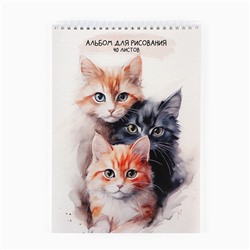 Альбом для рисования 40 листов на пружине А4 «1 сентября:Три котика»
