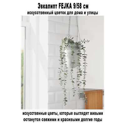 Эвкалипт FEJKA 9-58 см