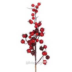 Декоративная ветка с ягодами Arundelio 54 см (Edelman)