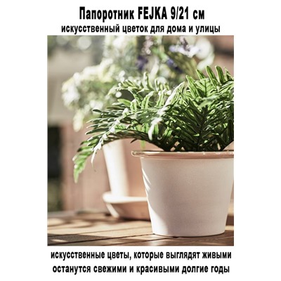 Папоротник FEJKA 9-21 см