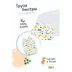 Трусы Боксеры Джунгли детские белый/28