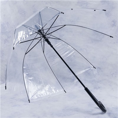 зонт 
            2.FAP2902-01