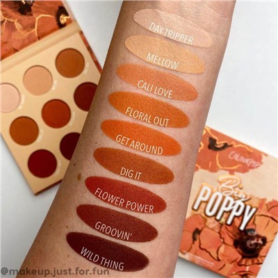 Палетка теней ColourPop - Big Poppy