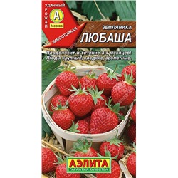 Земляника ремонтантная крупноплодная Любаша, 10 шт семян